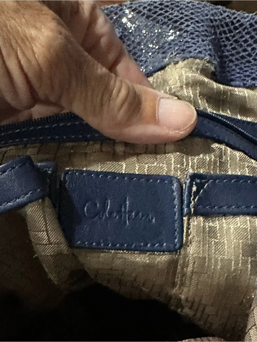 Cole Haan blue snakeskin hobo  Tote with Tassel Accent